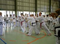 yeppoon dan grading 2010_03